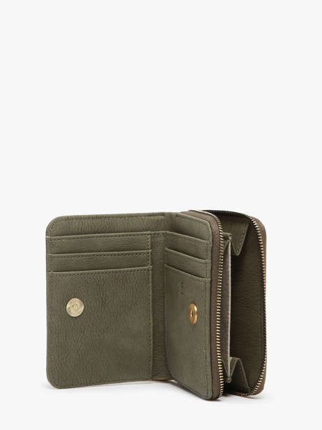 Coin Purse Acacia Woomen Green acacia WACAC95 other view 1